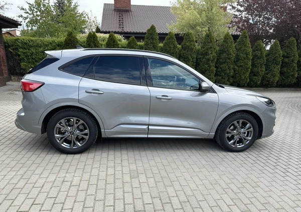 Ford Kuga cena 145500 przebieg: 9800, rok produkcji 2023 z Krotoszyn małe 742